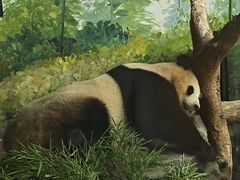 -红山森林动物园