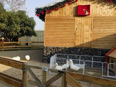 -HERRE·FARM 赫尔露营农场·团建聚会包场