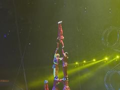 -灵玲国际马戏城