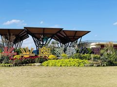 -上海长兴岛郊野公园