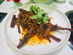 -九子跳跳蛙(石牌东店)