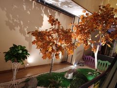 -汤泉良子(金源店)
