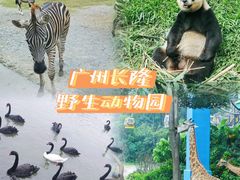 -广州长隆野生动物世界