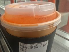 -同仁堂药店(北京首都国际机场3号航站楼C区店)