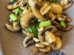 小炒口蘑-丰乐餐厅·始于1999·本地老字号