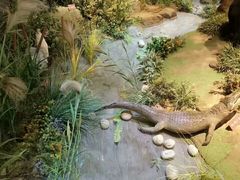 -陕西自然博物馆