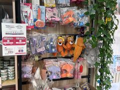 -中农大我爱我爱24h动物医院·中医针灸·猫专科·骨科医疗中心(双井店)