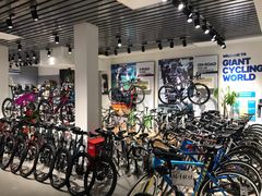 -捷安特自行车(中关村店)