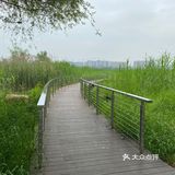 巴溪洲