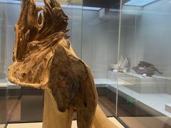 -中国沉香文化博物馆