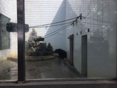 -广东茂名森林公园