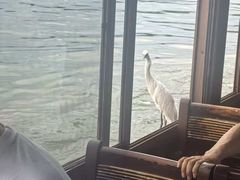 -西湖游船