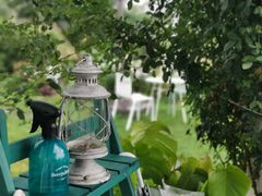 -猫米花园