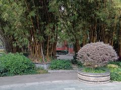 -垂虹公园