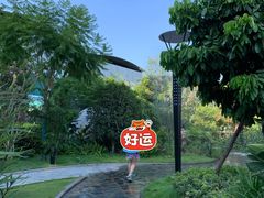 -水王国温泉水世界