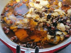 -蜀龙阁· 龍头水煮鱼(天坛店)