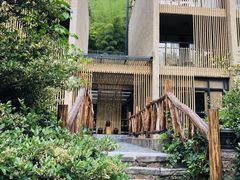 -看见远方·莫干遥远的山民宿