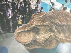 -世界恐龙谷景区