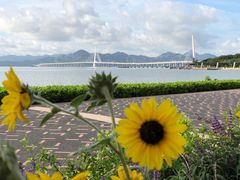 -深圳湾公园(南山区)