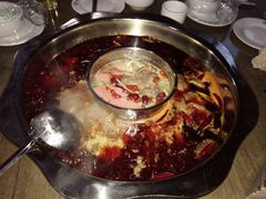 -金鼎雪山牦牛杂火锅(理县总店)