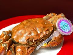 母蟹-鼎泰丰(渔阳店)