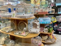 -青石桥花鸟鱼虫市场(叠翠城店)