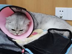 -联合动物医院(光谷诊疗中心)