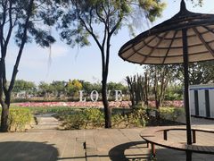 -广东花都香草世界旅游度假区