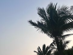 -深圳湾公园(南山区)