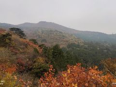 -香山公园