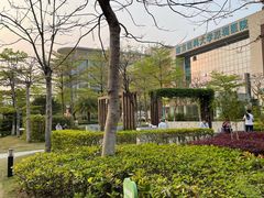 -南方医科大学深圳医院