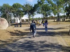 -上海海湾国家森林公园