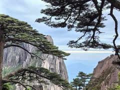 -黄山风景区