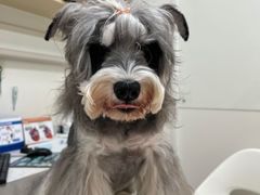 -爱诺耐芙动物医院(万博店)