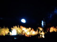-禅宗少林·音乐大典