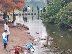 -重庆彩云湖湿地公园