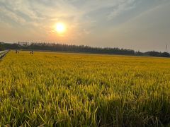 -嘉北郊野公园