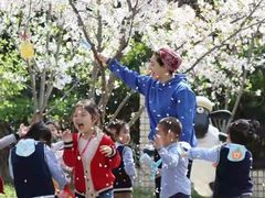 -上海松江区迪笙幼儿园