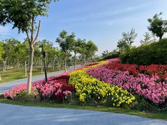 -春花秋色城市公园