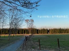-汉长安城未央宫国家考古遗址公园