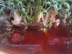 -老字号怡玺·藿香雅鱼(20年雅安店)