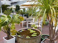 -813芭依珊 BAESAn(皇冠十畝地店)