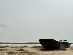 -哈素海