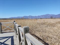 -野鸭湖国家湿地公园