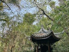 -深圳国际园林花卉博览园