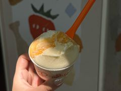 -Dip in Gelato(富民路店)