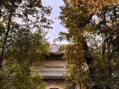 -灵谷景区