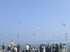 -星海湾跨海大桥