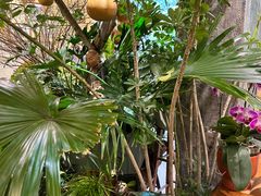 -花二家·生活馆(六运小区店)