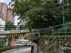 -香港大学